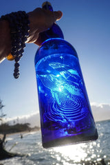 Cosmic Whales